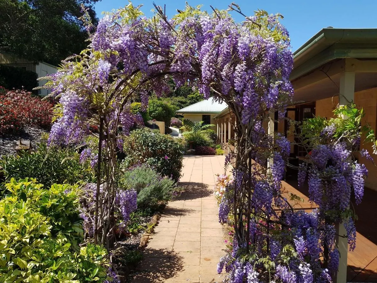 Gumtree House Montville Bed & Breakfast